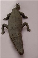 Saltwater crocodile Collection Image, Figure 10, Total 13 Figures